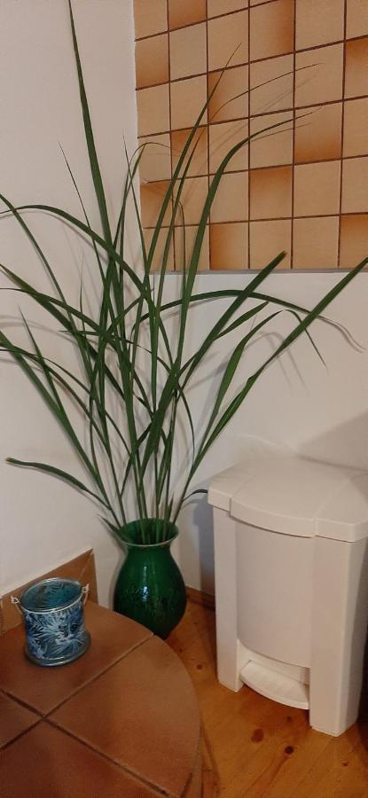Makfa Vendeghaz Hotel Vasvar Luaran gambar